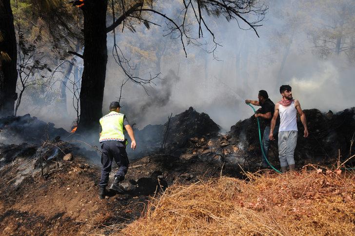 GÜNCELLEME - Antalya'da çıkan orman yangını kontrol altına alındı G5