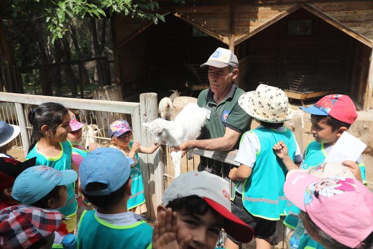 Antalya Doğal Yaşam Parkı'nı yıl başından bu yana yaklaşık 500 bin kişi ziyaret etti G4