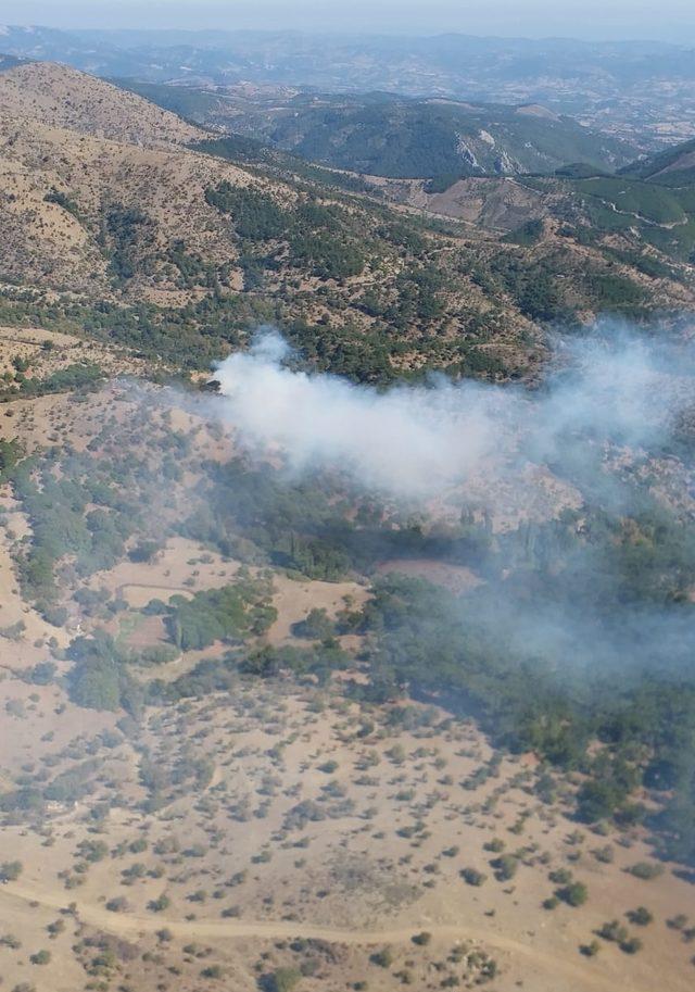 İzmir'de ormanlık alanda çıkan yangın kontrol altına alındı