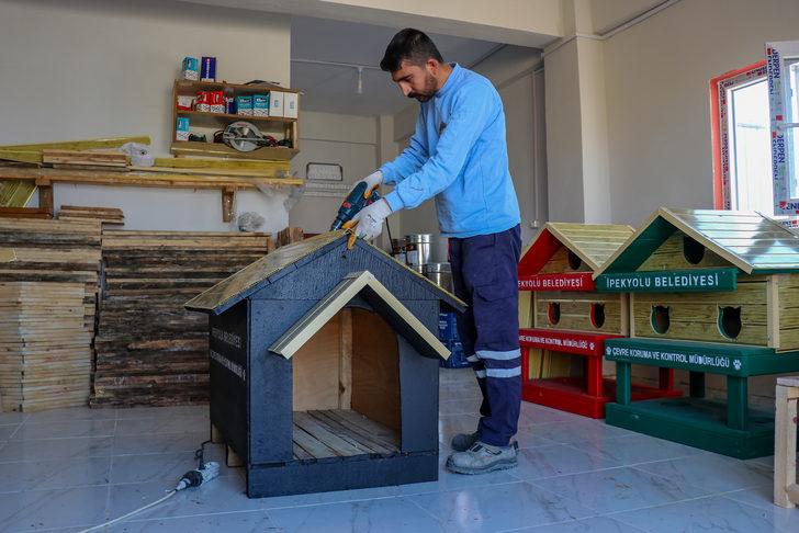 Van'da eski bozuk para kasaları hayvanlar için yuvaya dönüştürülüyor G1