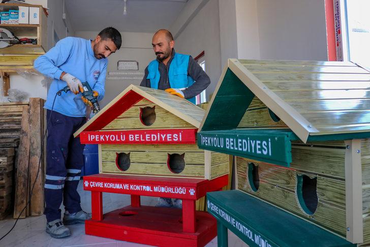 Van'da eski bozuk para kasaları hayvanlar için yuvaya dönüştürülüyor G2