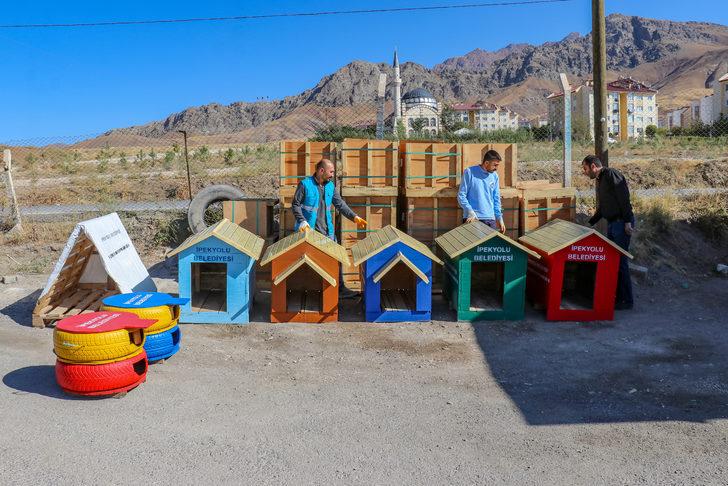 Van'da eski bozuk para kasaları hayvanlar için yuvaya dönüştürülüyor G4