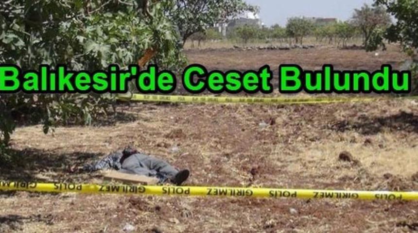 Balıkesir'de Yol Ortasında Ceset