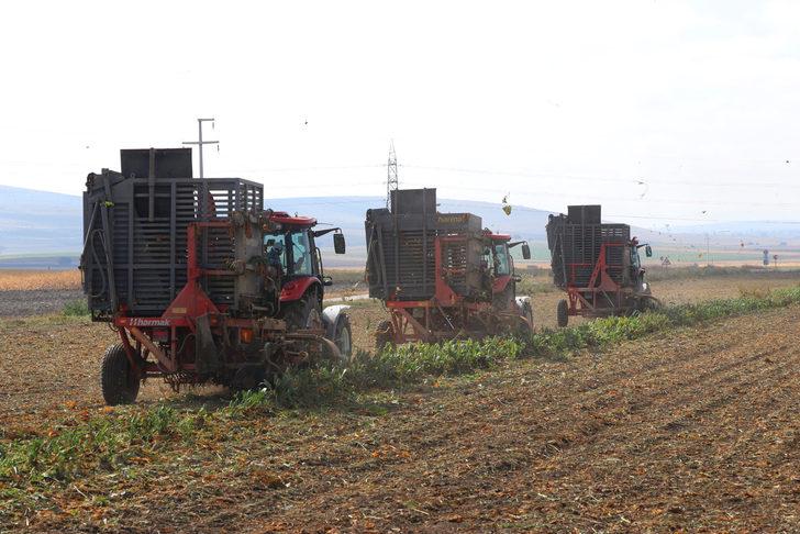 Az maliyetle üretim için deneme ekimi yapılan şeker pancarının hasadı yapıldı G1