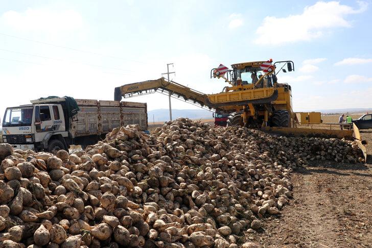Az maliyetle üretim için deneme ekimi yapılan şeker pancarının hasadı yapıldı G3