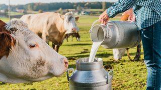 Süte 3 liralık zam yolda! Eski AK Partili vekilden çarpıcı sözler: ‘Tankerlerin önünü kesiyorlar’