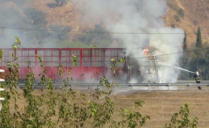 Aydın'da seyir halindeyken yanmaya başlayan tır kullanılamaz hale geldi G3