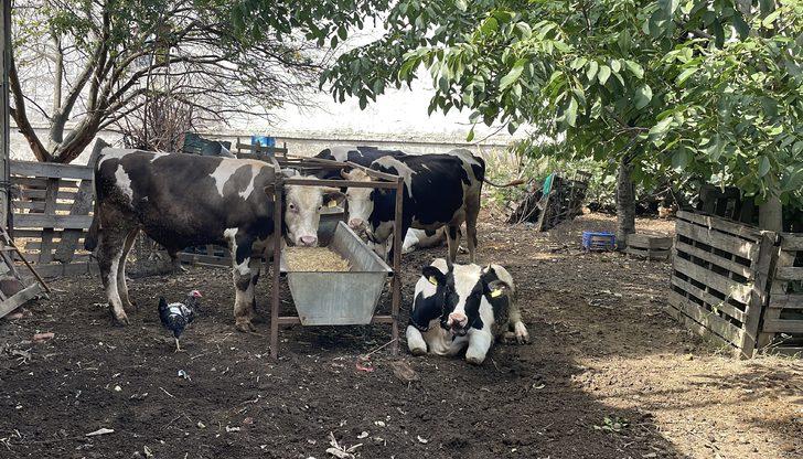 Bursa'da havalandırma ekipmanı üretilen atölyede çıkan yangın söndürüldü G4