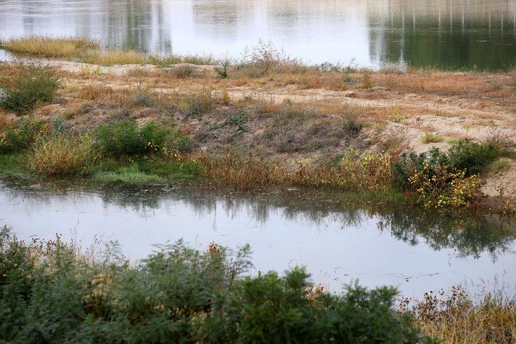 Edirneliler Tunca Nehri'nin ardından Meriç'in de kum adacıklarından temizlenmesini istedi G1