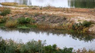 Edirneliler Tunca Nehri'nin ardından Meriç'in de kum adacıklarından temizlenmesini istedi