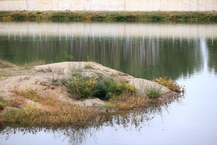 Edirneliler Tunca Nehri'nin ardından Meriç'in de kum adacıklarından temizlenmesini istedi G5