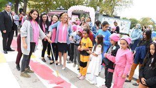 Edirne'de meme kanserine dikkat çekmek için yaya geçidi pembeye boyandı