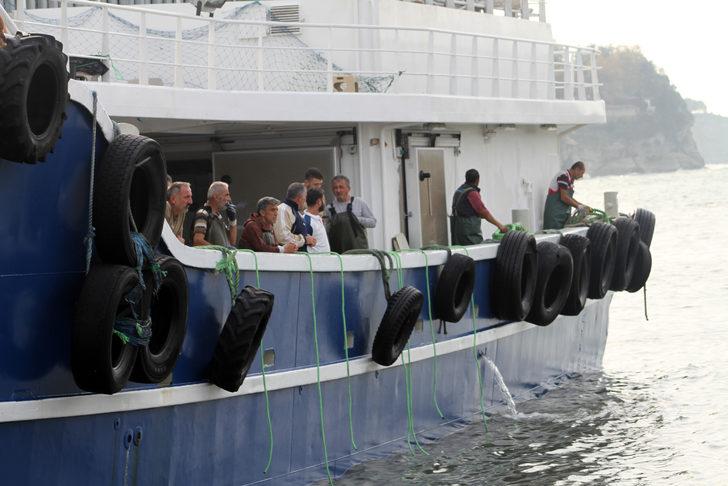 Batı Karadeniz'de palamut bolluğu devam ediyor G1