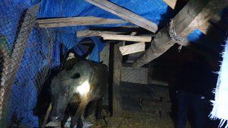 GÜNCELLEME 4 - Osmaniye'de 5,1 büyüklüğünde deprem