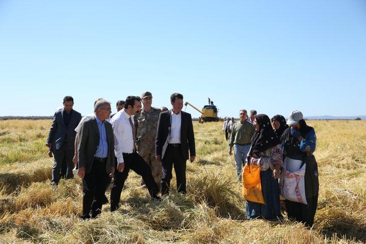 Diyarbakır'da hasadı süren tescilli Karacadağ pirinci verimiyle üreticiyi mutlu etti G5