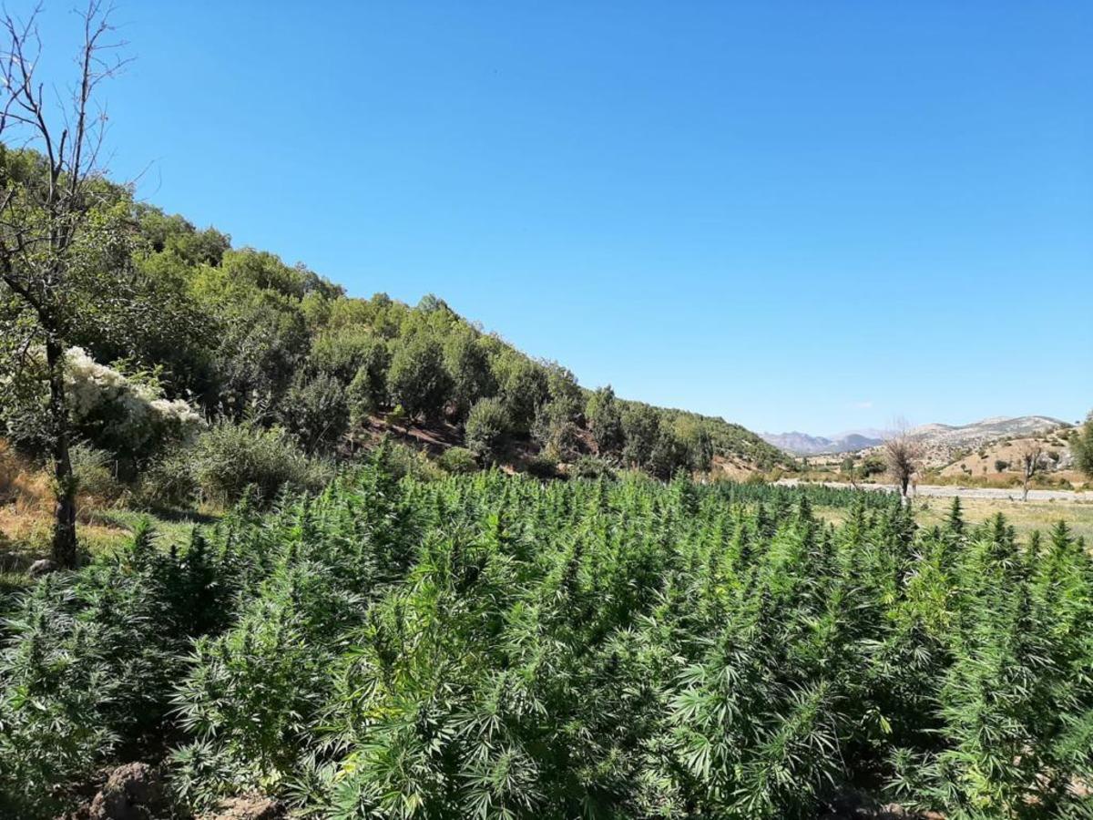 Eren Abluka Sonbahar-Kış 2 Operasyonu'nda 565 kilogram uyuşturucu ele ge&ccedil;irildi