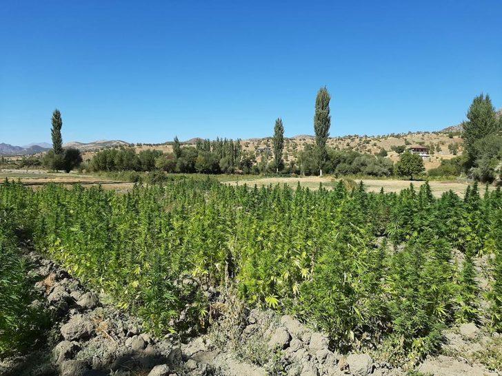 Eren Abluka Sonbahar-Kış 2 Operasyonu'nda 565 kilogram uyuşturucu ele geçirildi G5