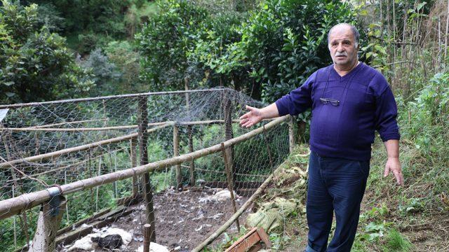 Komşusu söyleyince baktı, gördüğü manzara isyan ettirdi: İçeride can çekişiyorlar