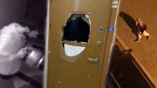 Komşusu piknik tüpüyle kapıyı kırıp evini bastı! Genç kadın 'Tacizci var' diyerek kendini sokağa attı