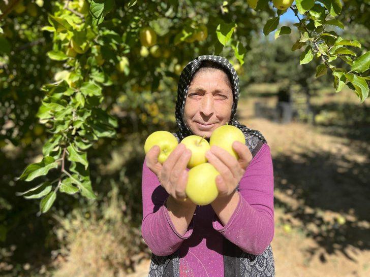 Isparta'dan yıl sonuna kadar 200 bin ton elma ihraç edilecek G4