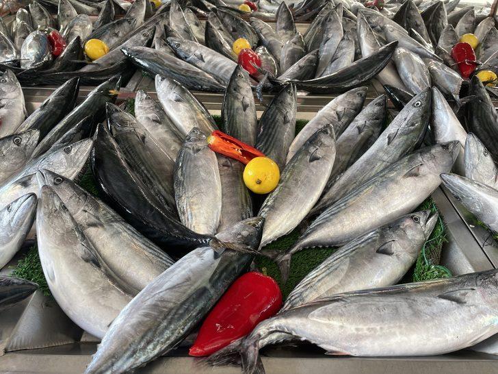 Bartın'da soğuk hava balık fiyatlarını yükseltti G4