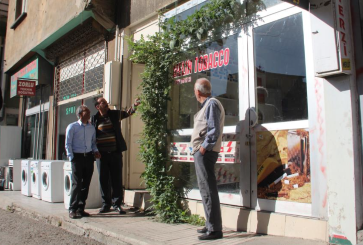 Yer: Elazığ! Betonların arasından çıktı, kimse anlam veremiyor... Kökünü incelemeye başladılar G4