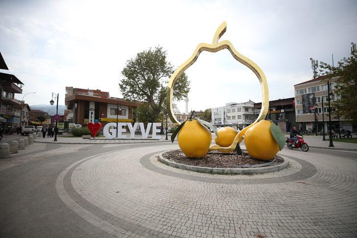 Sakarya'da 3. Geyve Ayva Festivali düzenlenecek G1