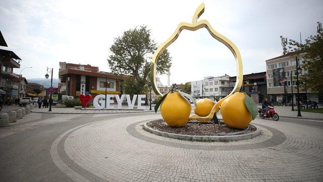 Sakarya'da 3. Geyve Ayva Festivali düzenlenecek