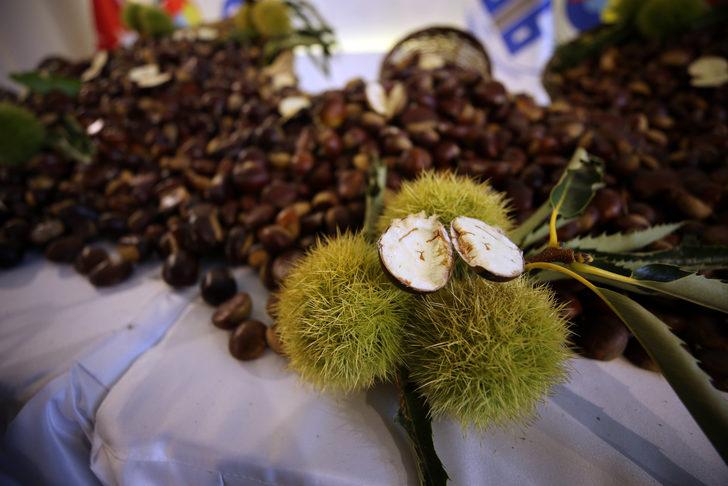 Aydın'da sezonun ilk kestaneleri borsaya getirildi G2