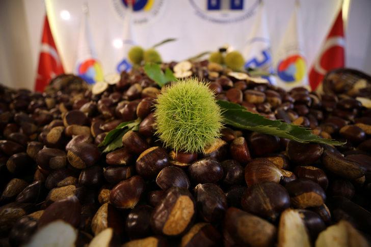 Aydın'da sezonun ilk kestaneleri borsaya getirildi G4