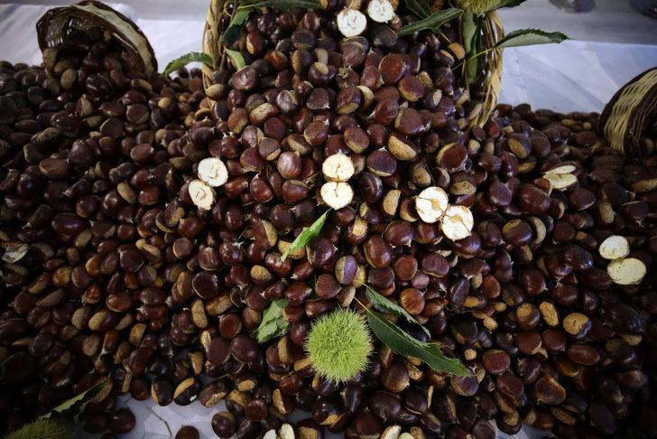 Aydın'da sezonun ilk kestaneleri borsaya getirildi G5