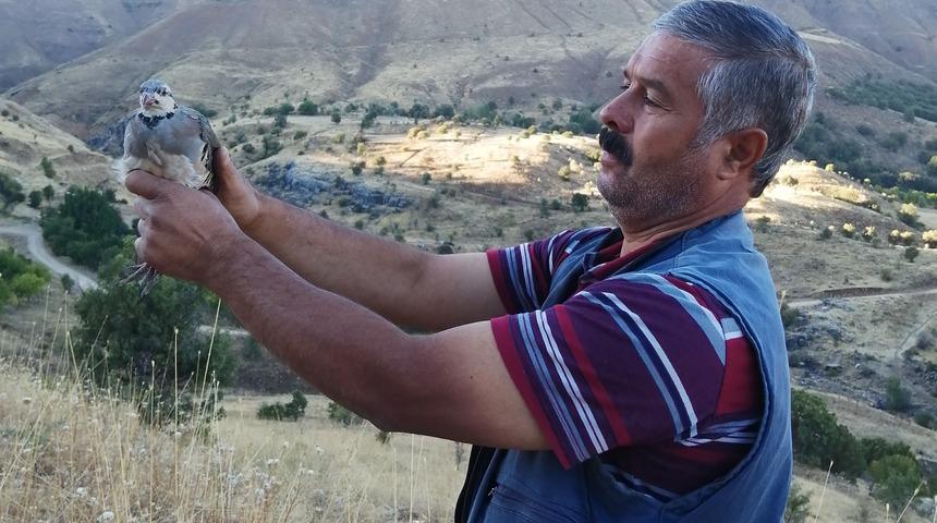 Malatyalı hayvansever yavru keklikleri büyüttükten sonra doğaya saldı