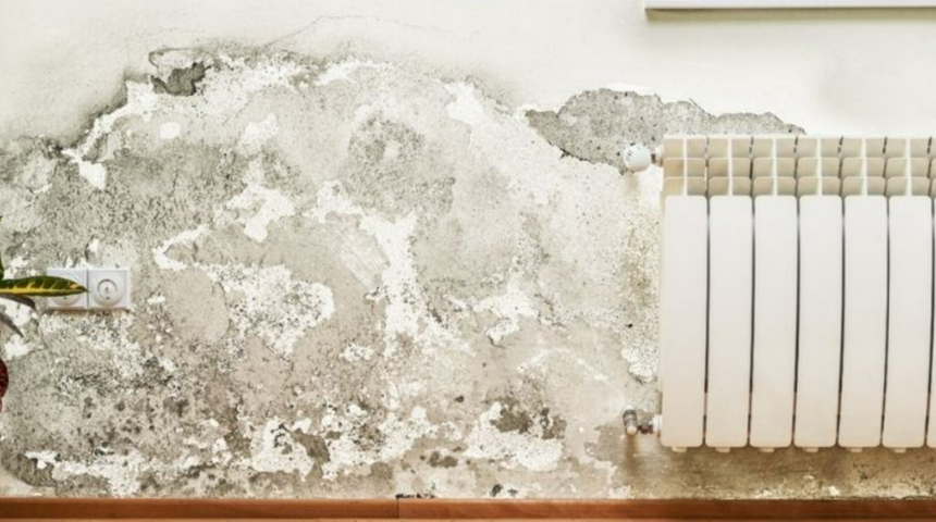 Evi değiştirmeye gerek yok! Rutubet ve k&uuml;f oluşmadan &ouml;nleminizi alın