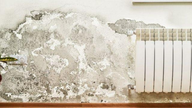 Evi değiştirmeye gerek yok! Rutubet ve küf oluşmadan önleminizi alın
