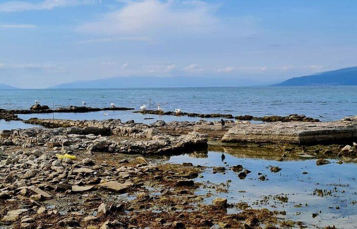Su çekilmesi yaşanan İznik Gölü'ndeki batık bazilika kıyıyla birleşti G1