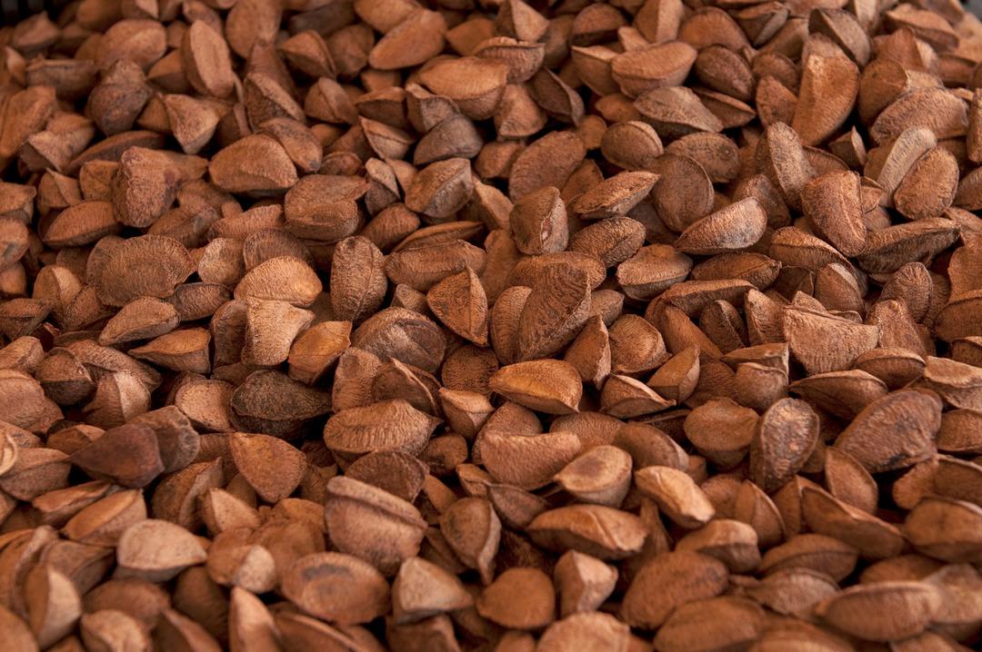 Sedef hastalığına ve alerjiye karşı korur, &uuml;reme sağlığını destekler: Selenyum nedir, selenyum hangi besinlerde bulunur?