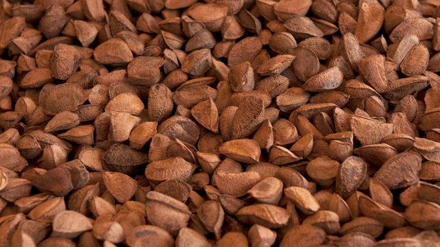 Sedef hastalığına ve alerjiye karşı korur, üreme sağlığını destekler: Selenyum nedir, selenyum hangi besinlerde bulunur?