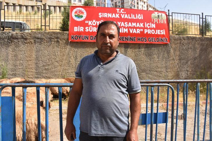 Şırnak'ta besicilere "küçükbaş hayvan", kadınlara "sera" desteği G2