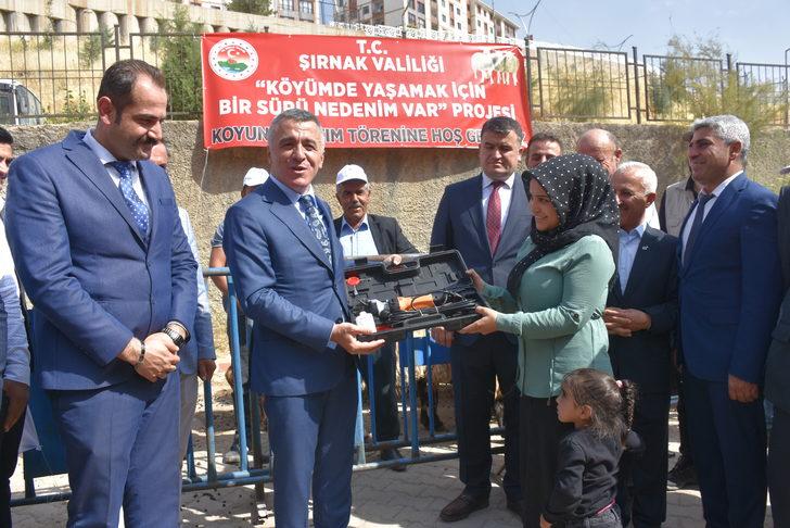 Şırnak'ta besicilere "küçükbaş hayvan", kadınlara "sera" desteği G5