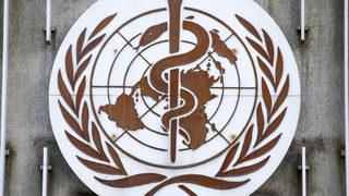 Dünya Sağlık Örgütü açıkladı! Maymun çiçeği vakalarında tedirgin eden rakam...