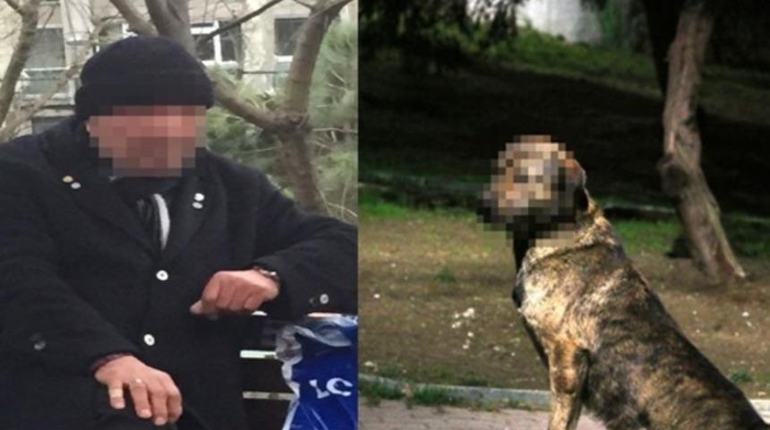 Köpeğe cinsel istismar iddiasıyla gözaltına alındı