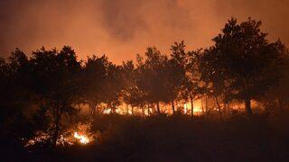 İzmir Bayındır'da orman yangını! İş makineleri yandı...