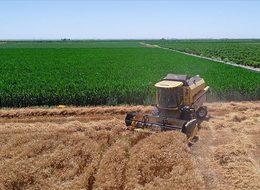 MAZOT VE GÜBRE DESTEĞİ ÖDEME TARİHİ 2023: Mazot ve gübre desteği yattı mı, ne zaman yatacak? Cumhurbaşkanı Erdoğan açıkladı!