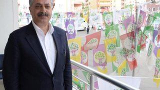 HDP'li Erdoğmuş: HDP Zerdüşt partisi olsaydı yine görev alırdım