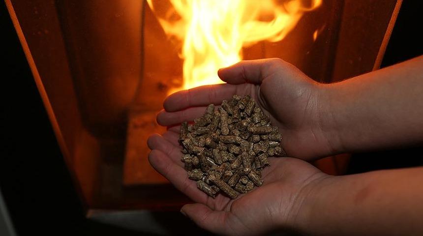 Belçikalılar doğal gaz krizi için çareyi pelet ve odunda  buldular! Talep patladı
