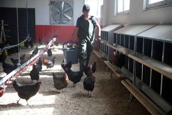 Çiftlik gibi lise... Yumurta üreterek para basıyor! 8 ayda 150 bin lira ciro yaptı G2