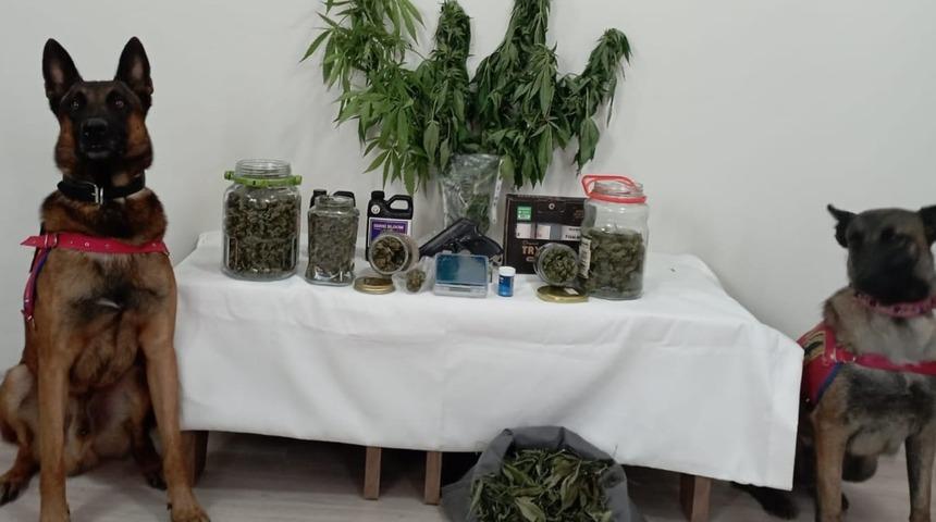 Trabzon'da uyuşturucu ticareti yapan kişi gözaltına alındı