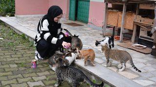 Üniversite öğrencisi Sevgican sahipsiz kedilerin yardımına koşuyor