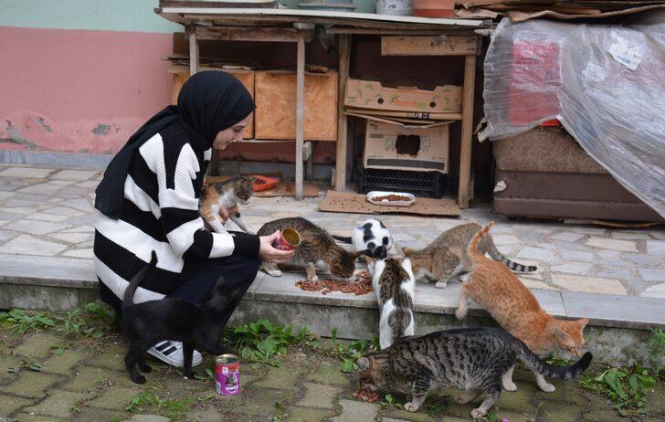 Üniversite öğrencisi Sevgican sahipsiz kedilerin yardımına koşuyor G3