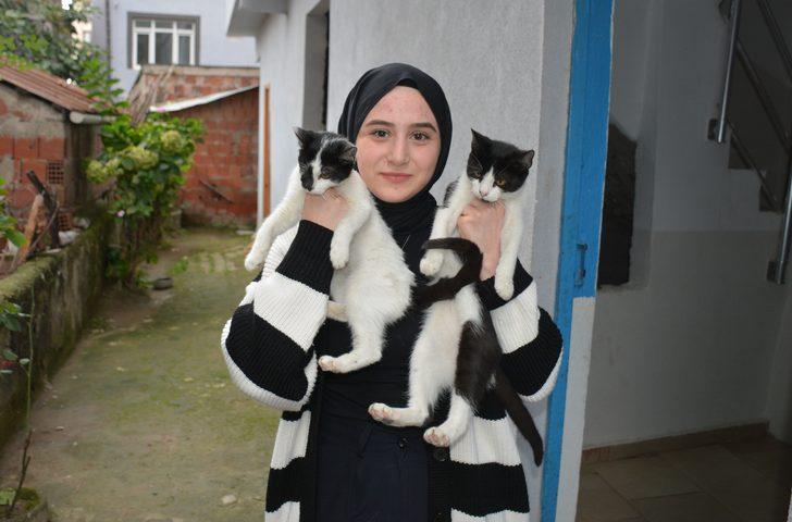 Üniversite öğrencisi Sevgican sahipsiz kedilerin yardımına koşuyor G4